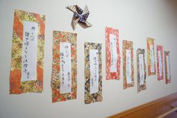 色とりどりの掲示物が並ぶ廊下