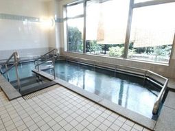 清潔な浴室と採光