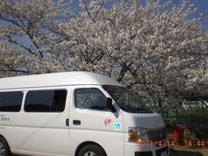 送迎車と桜の外観  
