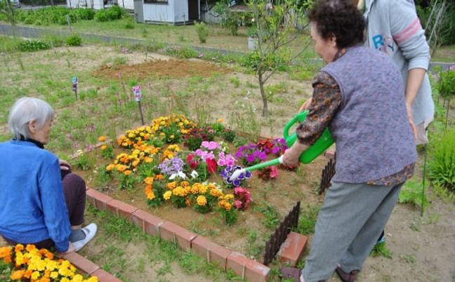 花壇の庭