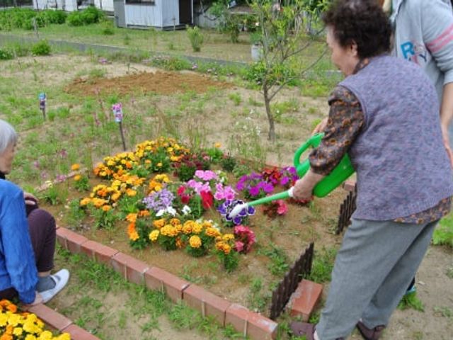 花壇の庭 庭 彩り豊かな花壇で、介護スタッフと利用者が一緒に楽しむガーデニング活動です。
