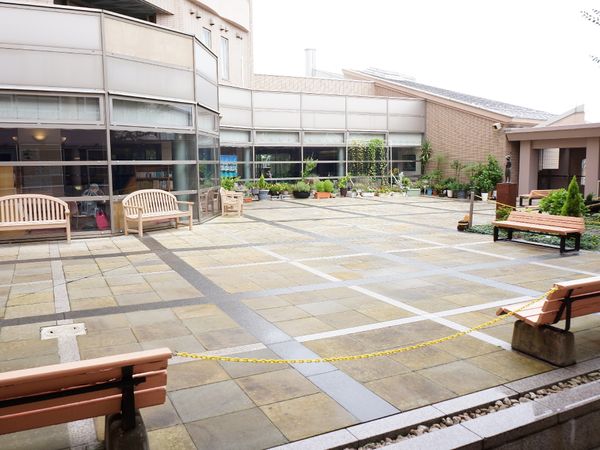 中庭の植栽とベンチ