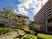 緑豊かな中庭  