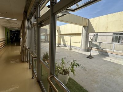 自然光が差し込む廊下
