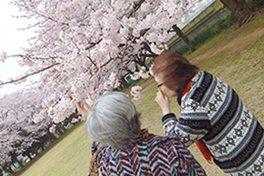 桜の木を眺める二人