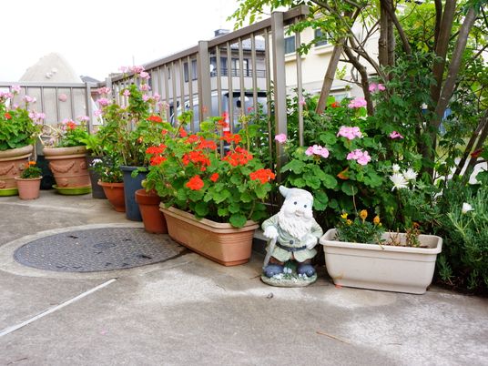 花と小人の置物がある中庭