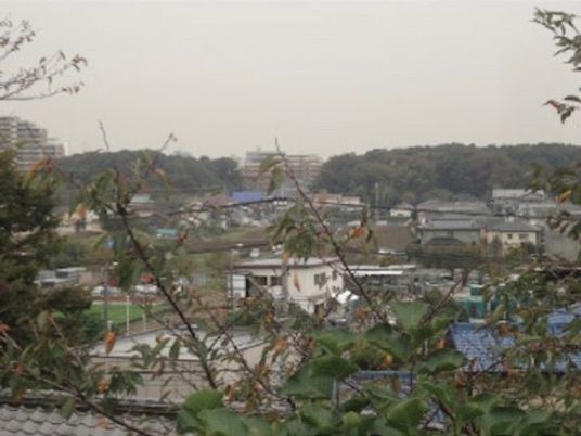 緑に囲まれた景色