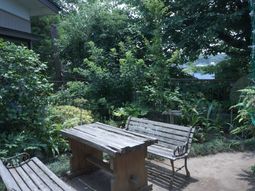 中庭のベンチと植物