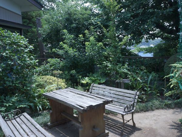 中庭のベンチと植物