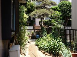 緑豊かな施設の中庭