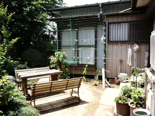 中庭の植物とベンチ