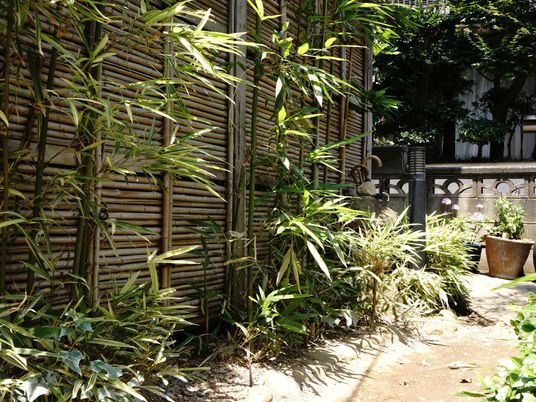 竹垣と緑の中庭