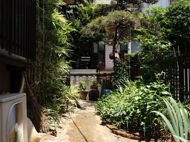 緑豊かな中庭 庭 自然光があふれる、植物に囲まれた心地よい中庭です。日々の憩いの場として、利用者様にはご好評をいただいております。