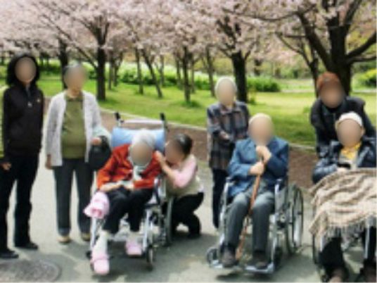 春満開の中庭