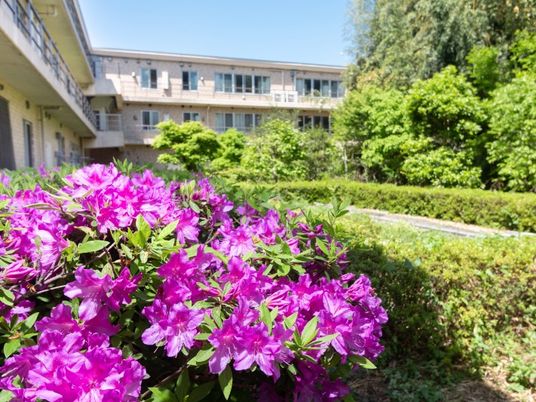 花咲く中庭  