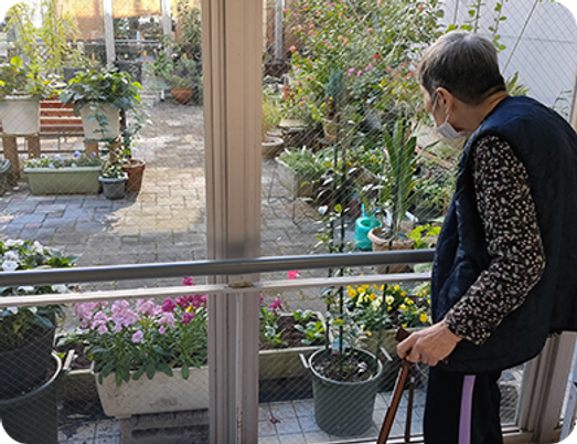 植物が見える廊下