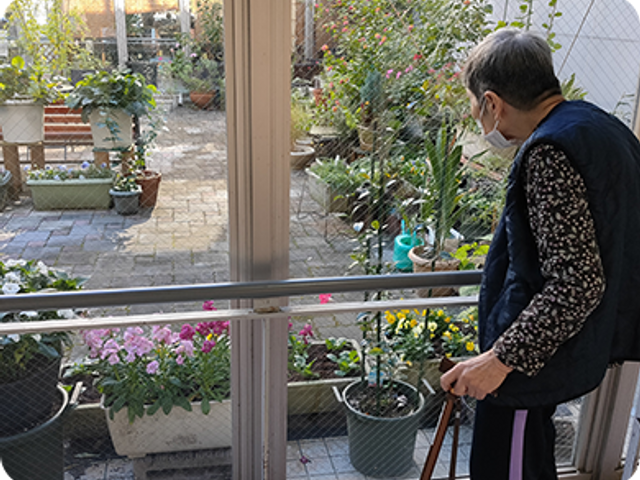 植物が見える廊下 廊下 自然光が差し込む明るい廊下です。植木が並ぶ景色を眺められ、リラックスした時間を過ごせます。