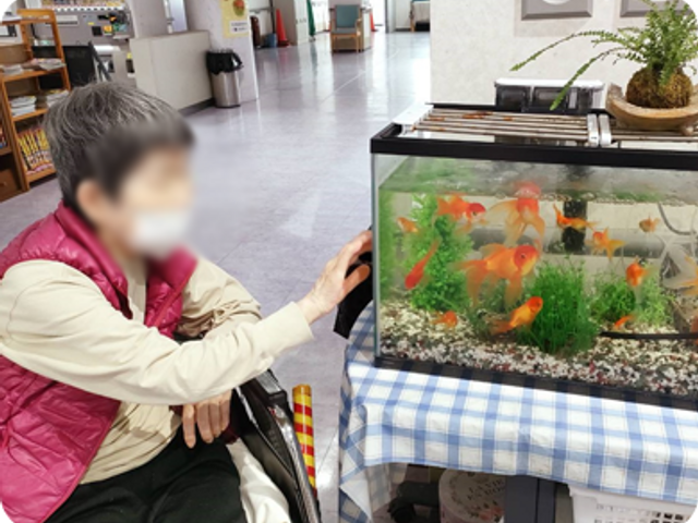屋内の様子 ラウンジ 水槽のあるラウンジで、リラックスした雰囲気が広がっています。庭が見えるスペースで心も穏やかになります。