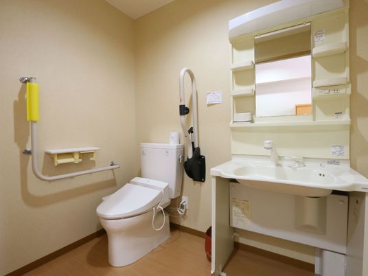 ベージュ系で統一された清潔感があるトイレ。大き目の鏡と収納ボックスが取りつけられた洗面台も設置されている。
