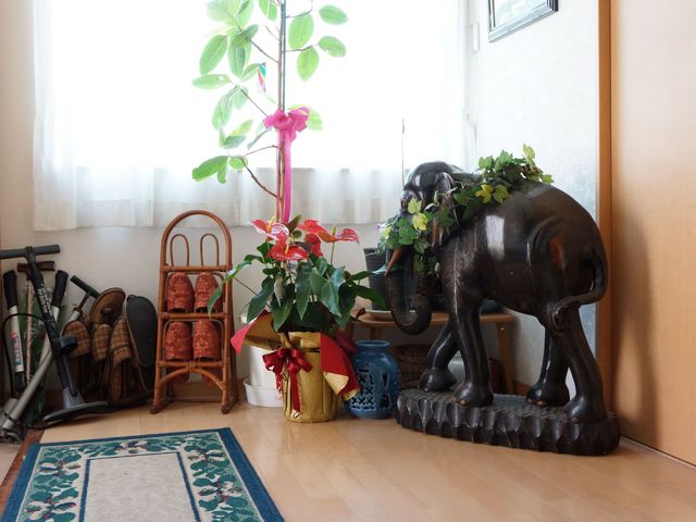 入口の装飾品 玄関 心を和ませるエントランスの装飾が迎えてくれます。至る所に気配りが感じられる空間です。