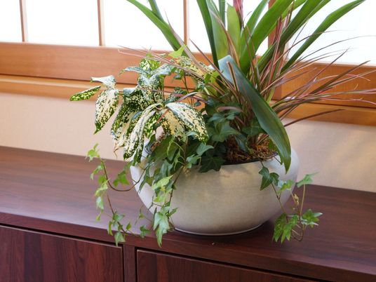 和みを感じさせる植物装飾