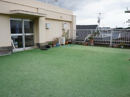 屋上の緑のスペース