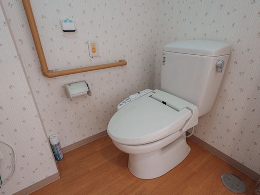 安全設計のトイレ