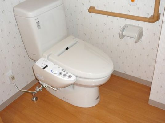 安全な高齢者用トイレ