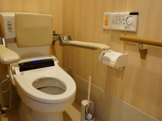 洋式のトイレには背もたれと肘掛けが一体になったパーツが取り付けられている。壁にはコントローラーと呼び出しスイッチが付いている。