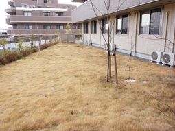 庭の風景と建物外観