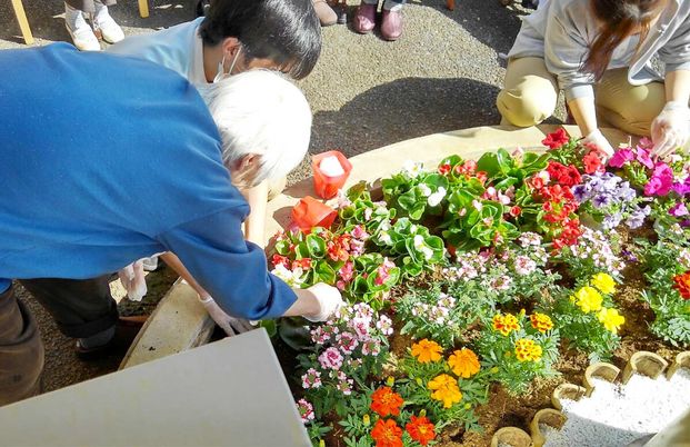 色とりどりの花壇