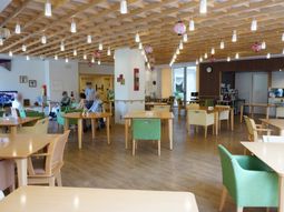 木の天井と照明の食堂