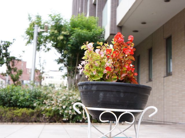 施設の外にある鉢植え 庭 彩り豊かな鉢植えが迎えてくれる、心安らぐ空間です。職員と一緒に植物のお手入れを楽しむことができます。