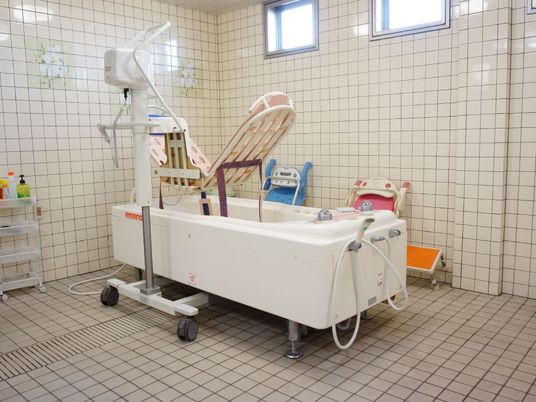 機能的な設備の浴室