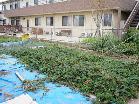 庭付きの施設外観