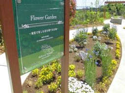 花壇と看板の中庭
