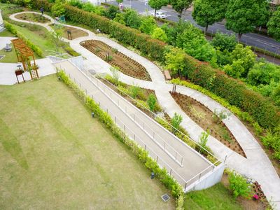 緑豊かな庭の全景