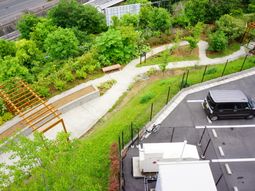 緑豊かな施設の庭