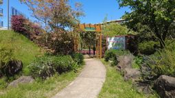 緑豊かな中庭の景観