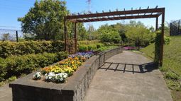 色とりどりの花と中庭