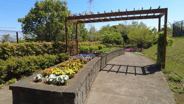色とりどりの花と中庭