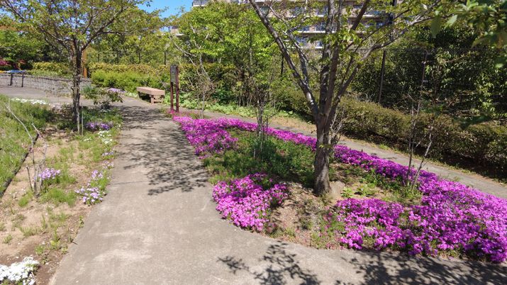 花咲く中庭の風景