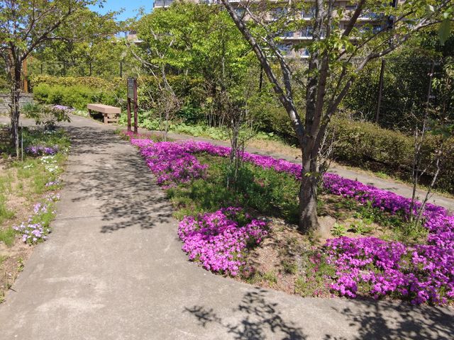 花咲く中庭の風景 ガーデン 静かで心が和む中庭では、四季折々の花々を楽しむことができます。散策や休憩に最適なスペースがあります。