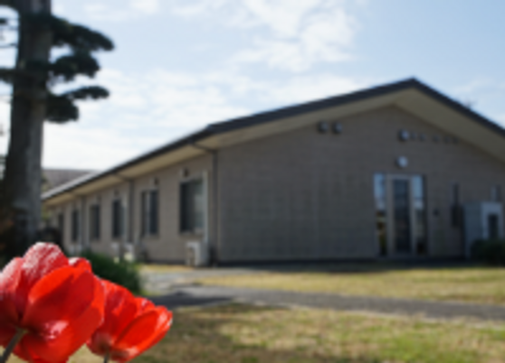 花が咲く建物の外観