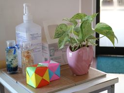 ヘルスケアアイテムと観葉植物
