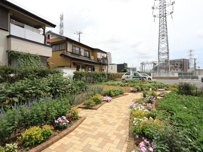 中庭の花と緑