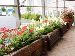 色鮮やかな花と廊下