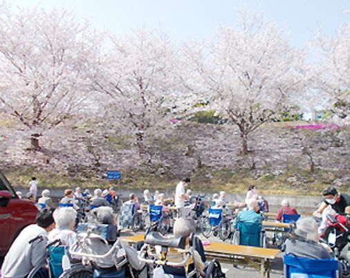 桜並木が美しい庭