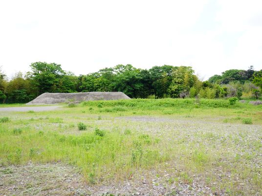 緑豊かな空地