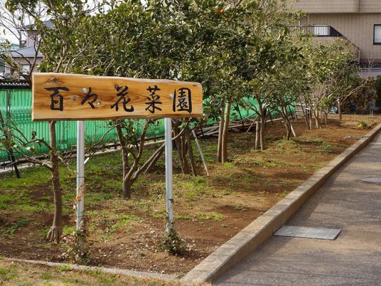 庭木と看板の風景